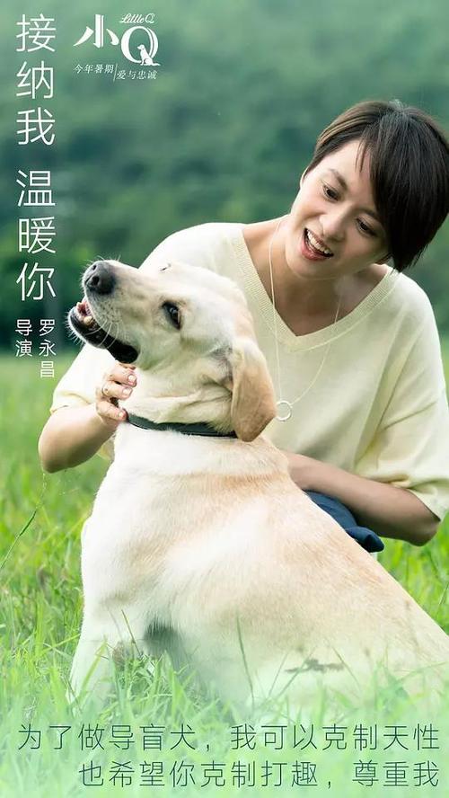 杉山女子学園大学本科毕业证